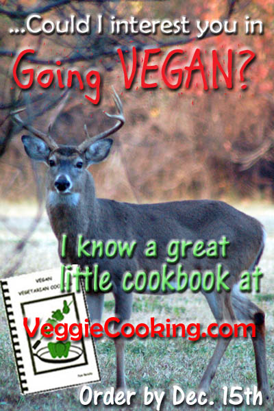 Click to visit VeggieCooking.com
