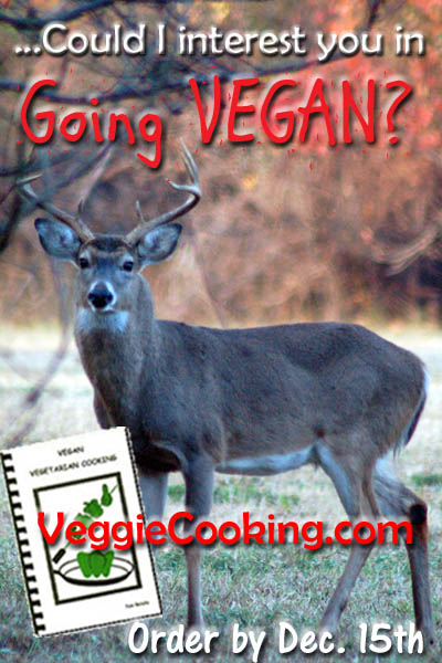 Click to visit VeggieCooking.com