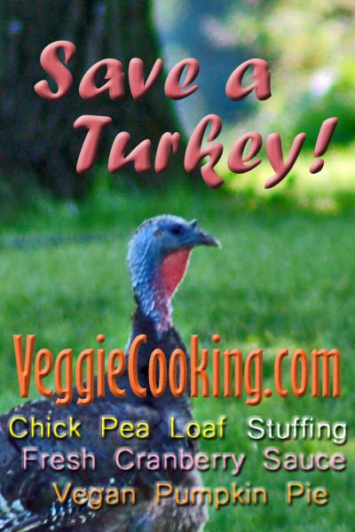 Click to visit VeggieCooking.com